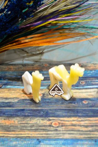 اتنين مجسم جمل من حجر الالباستر من ايجيبت انتيكس صناعة يدوية 100% طبيعي