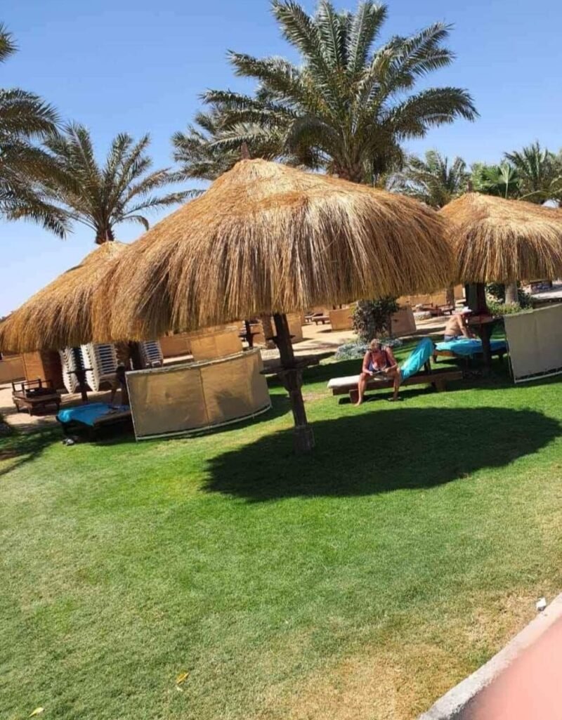 ⁦شماسي بحر خوص او قش صديق للبيئة صناعة يدوية من انتاج ايجيبت انتيكس (شاسيه خشب)⁩ - الصورة ⁦4⁩