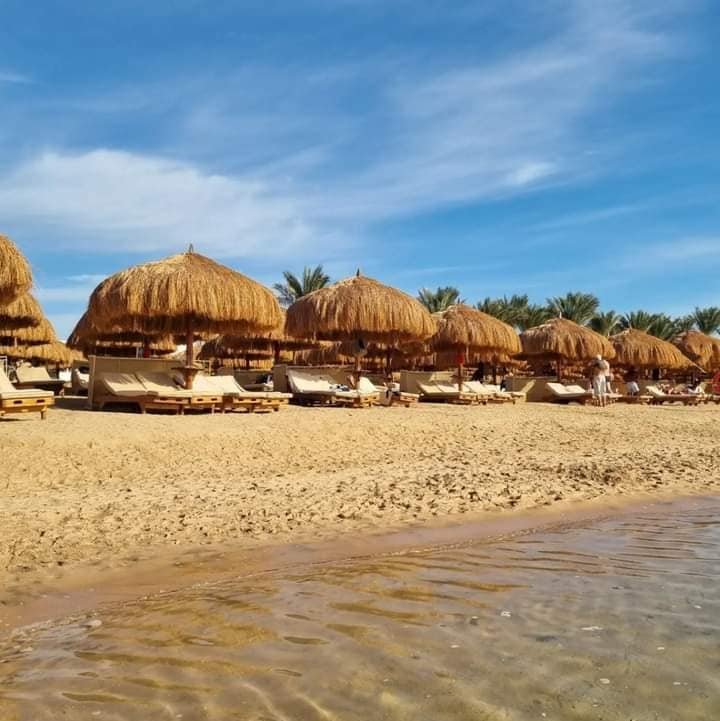شماسي بحر خوص او قش صديق للبيئة صناعة يدوية  (شاسيه خشب) من انتاج ايجيبت انتيكس - الصورة 3