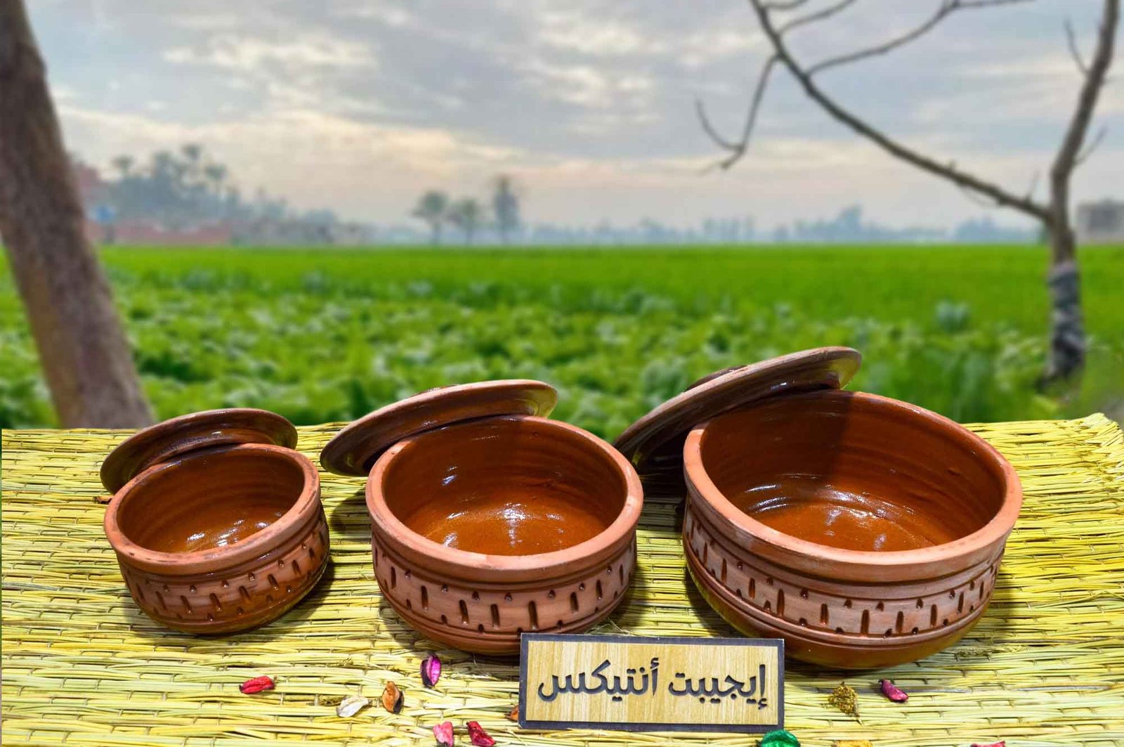 طقم حلل من الفخار الصحي محفور عليه رسوما - handmade Egyptian - Egypt Antiques