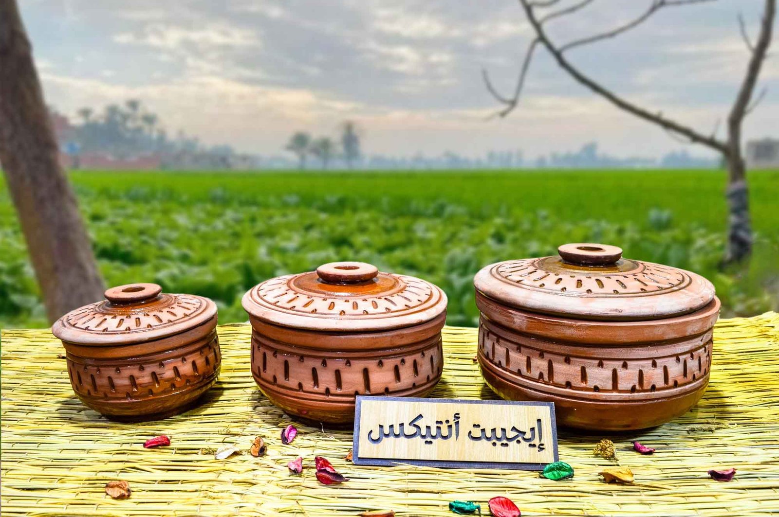 طقم حلل من الفخار الصحي محفور عليه رسوما - handmade Egyptian - Egypt Antiques